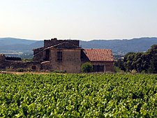 France-Provence-A Taste of Provence